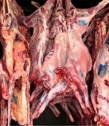 جزئیات تکان دهنده پرونده کشف ۳ تن گوشت الاغ در تهران