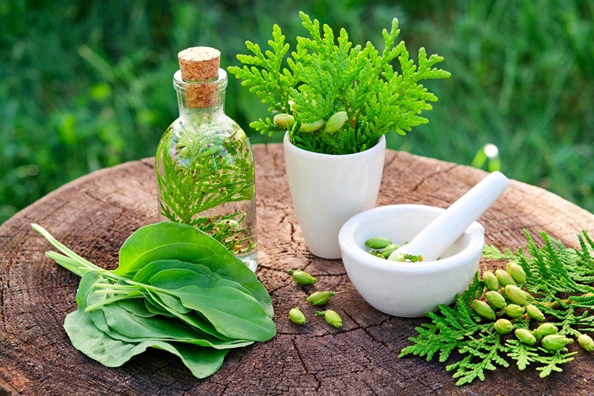 مرگ آور بودن ترکیب این داروی گیاهی و شیمیایی