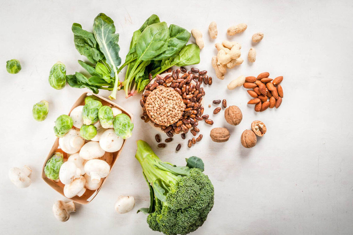 معرفی منابع گیاهی غنی از پروتئین