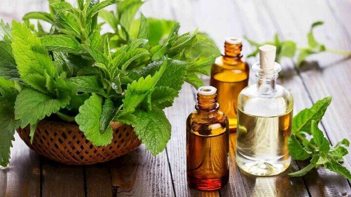 برای این بیماری معده ، خوردن عرق نعناع ممنوع است!