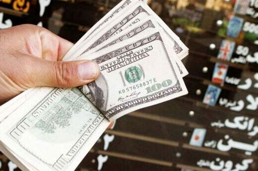 ۴۸ اخلالگر ارز دستگیر شدند