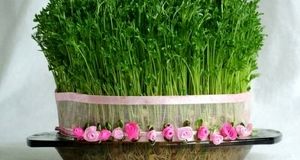 سال ۱۴۰۵ چند روز تعطیل دارد؟