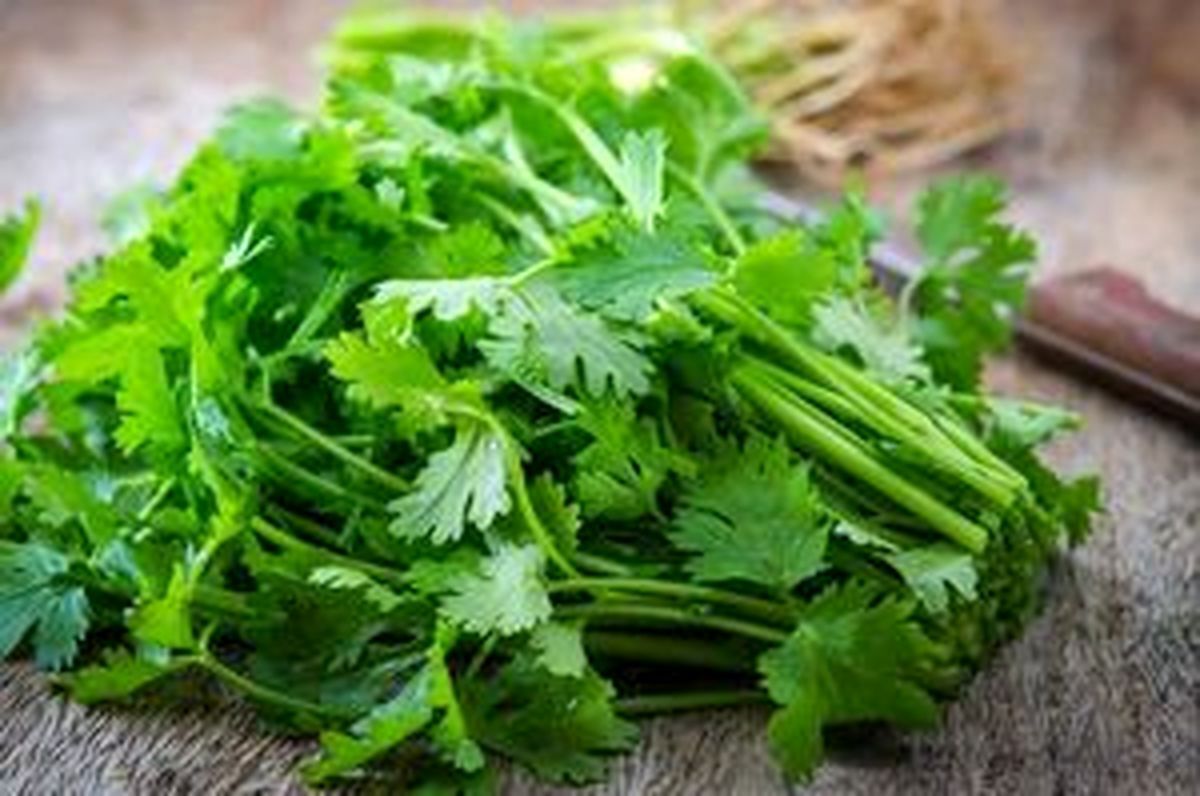 معجزه جعفری در غذاهای شما