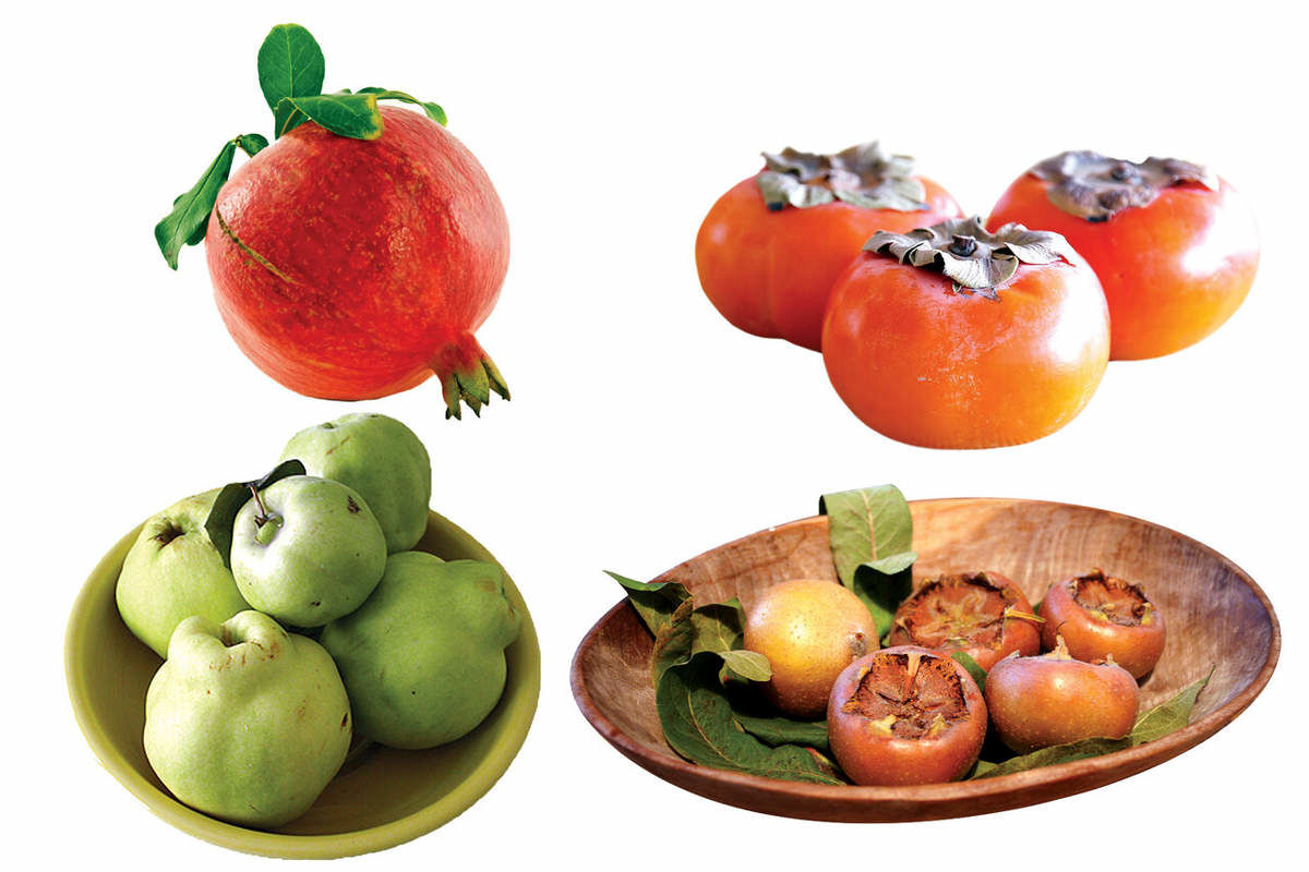 خواص فوق‌العاده‌ میوه‌های فصل‌ سرد 