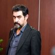 پایان پیش‌ تولید سریال اجتماعی «دومان» با مشاوره شهاب حسینی