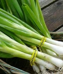 تره را دیابتی ها بخورند یا نه؟