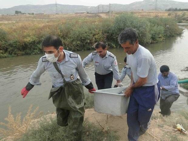 جسد پسر جوان 9 روز پس از ناپدید شدن در سیمینه رود پیدا شد 