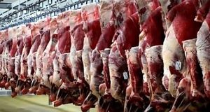 گوشت ارزان شد؛ لبنیات، مرغ و برنج گران!