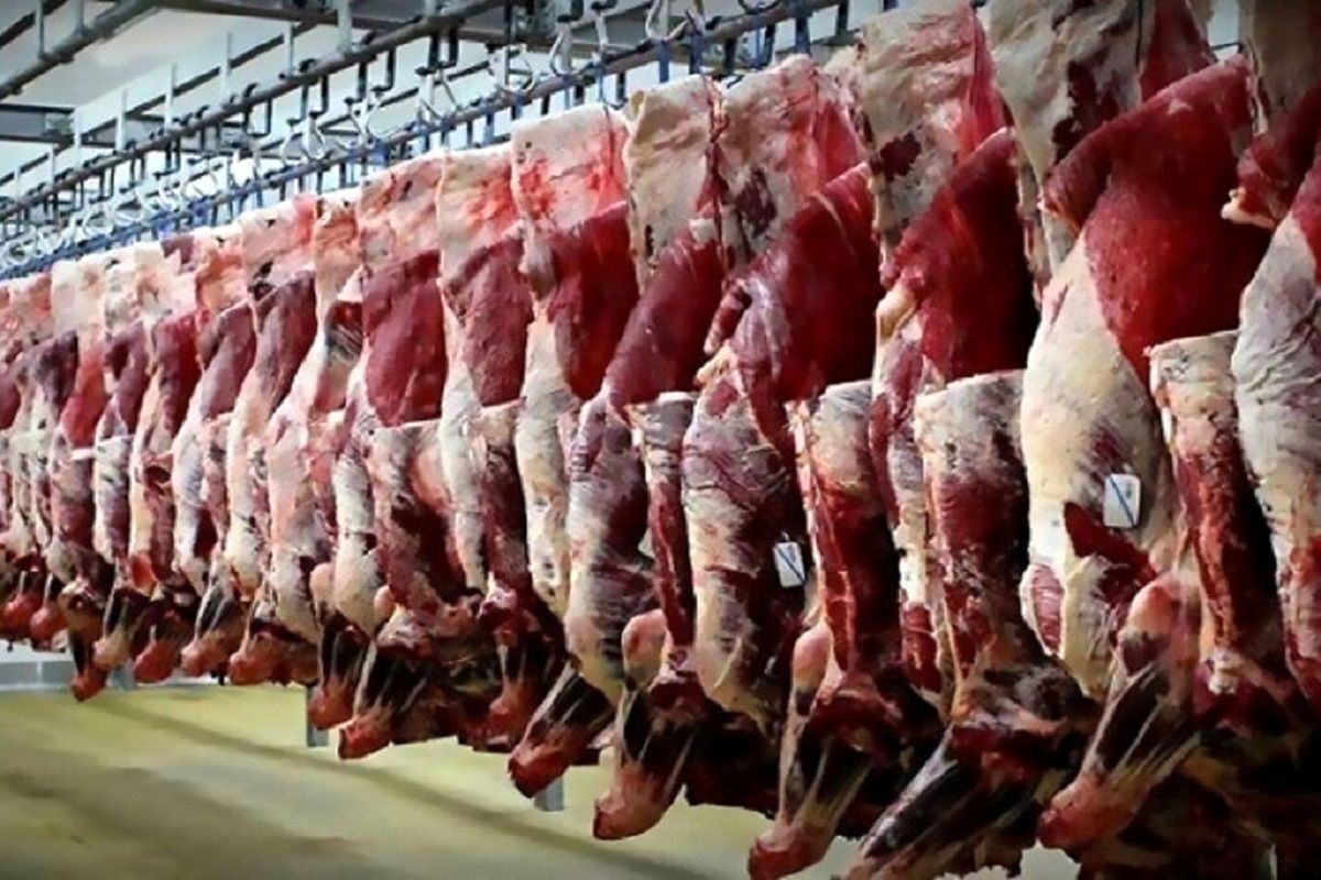 گوشت قرمز گران شد؟/قیمت گوشت قرمز امروز چهارشنبه ۱۵ بهمن ۱۴۰۴ +جدول
