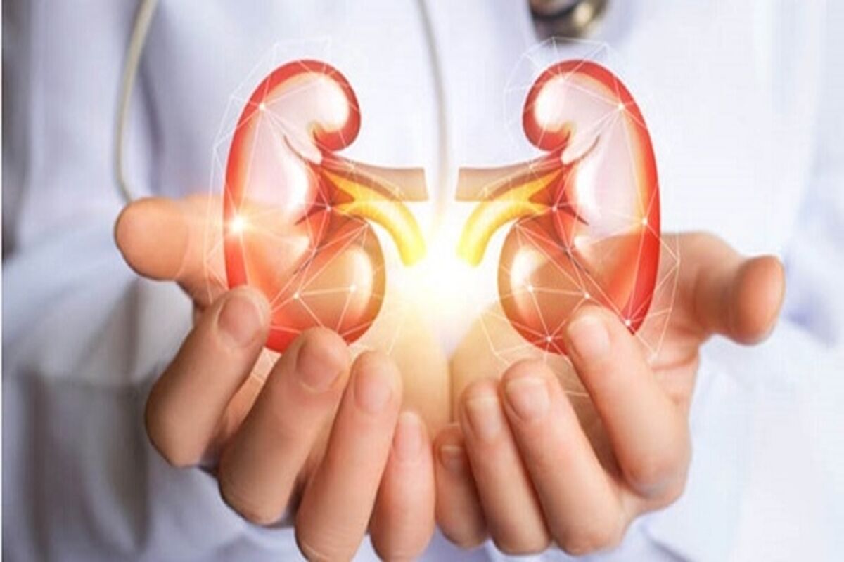 علت و علائم سوزش کلیه