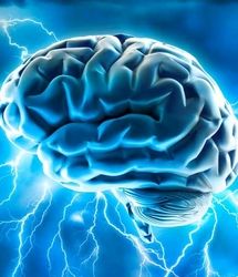 چه ورزش هایی مغز را جوان می سازد؟