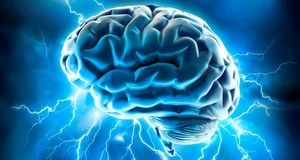 چه ورزش هایی مغز را جوان می سازد؟