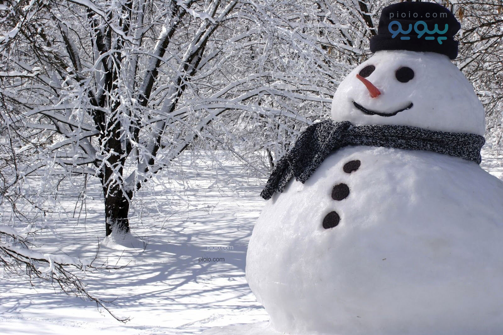  عاشفانه برفی فوتبالیست معروف و همسر زیبایش+عکس