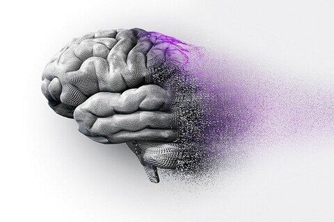 پیری مغز با رژیم غذایی!
