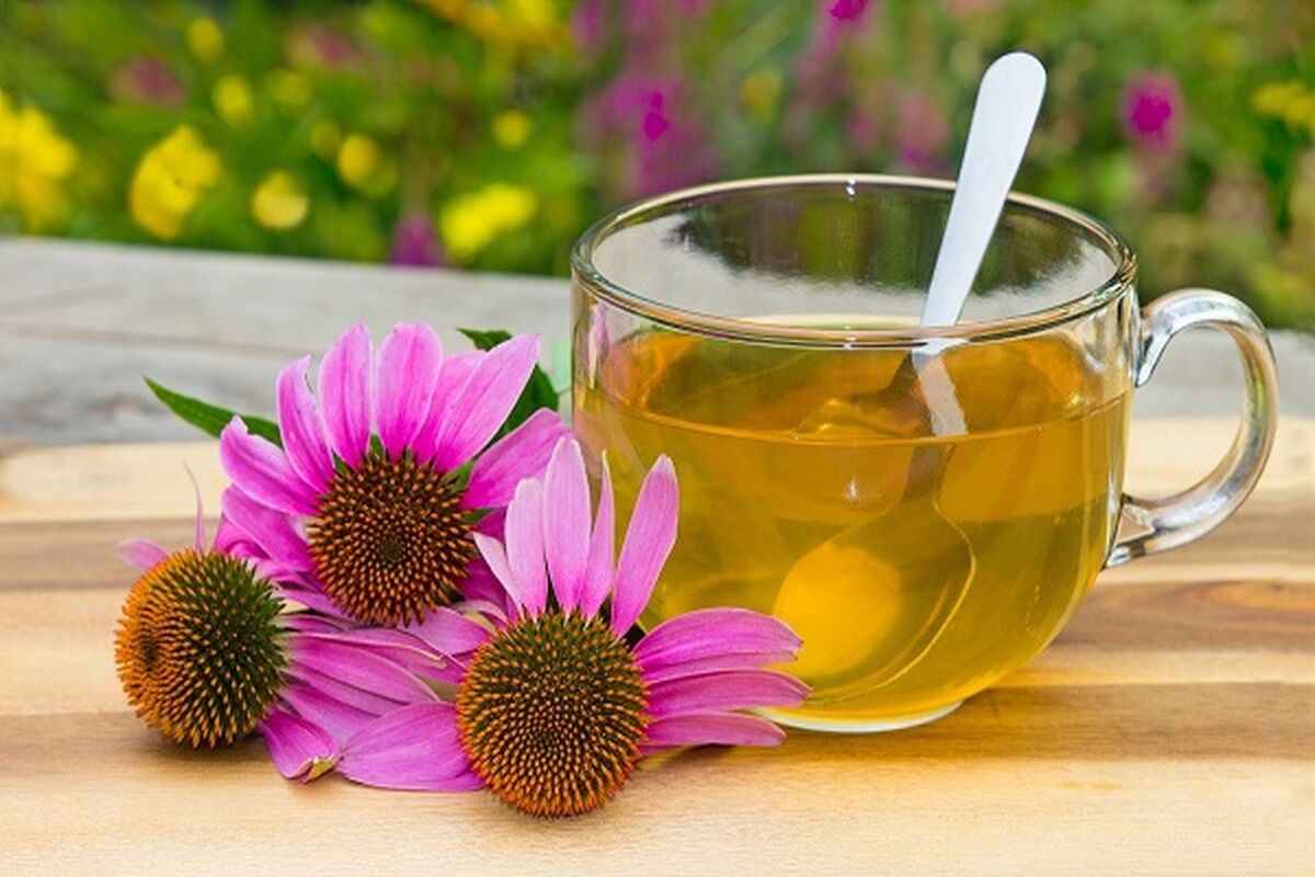 معرفی 14 دمنوش برای پاکسازی ریه