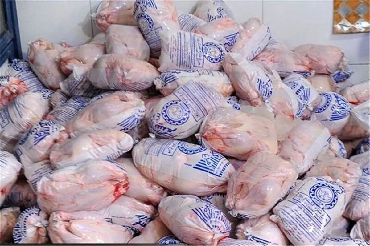  چه کشورهایی خریدار مرغ ایران هستند؟/ روسیه از ایران مرغ می خرد؟