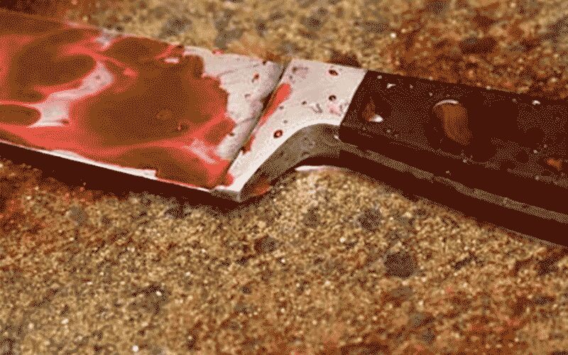 زن جانی با چاقو به جان دانش آموزان ابتدایی یک مدرسه افتاد