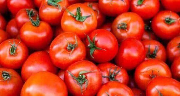 به این دلایل مهم هر روز گوجه فرنگی بخورید!