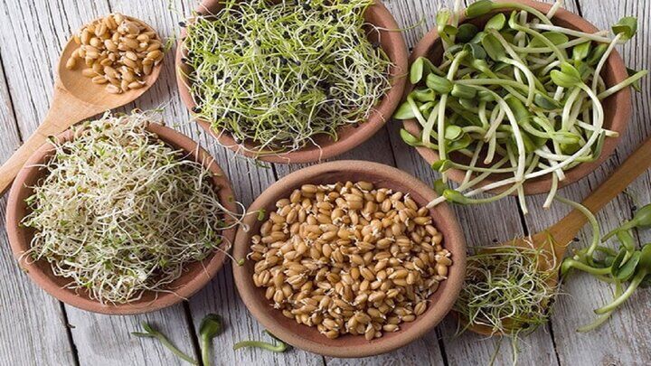پرداخت یارانه ۳۰۰ هزار تومانی جوابگوی اصلاح قیمت هاست