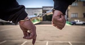 دستگیری سارقان پارک پردیسان